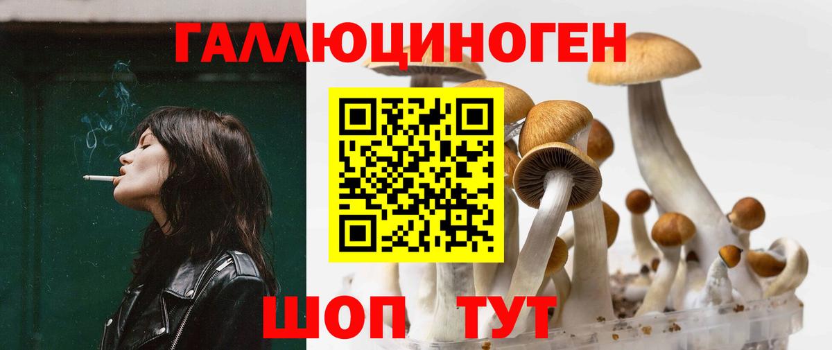 Ставрополь  Галлюциногенные грибы мухоморы  Вход с VPN 